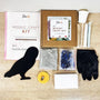 Owl Glass Mosaic Art kit